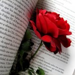 rosa y libro rosa y libro